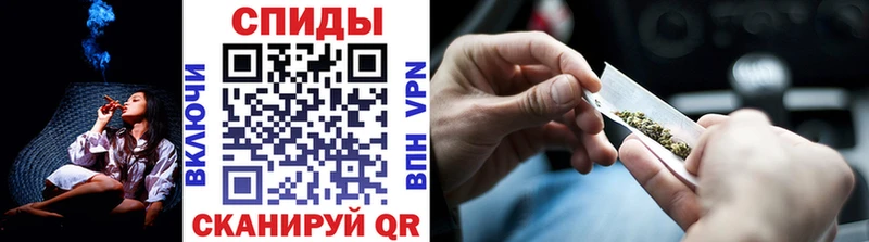 Купить  Новозыбков  Бутират буратино 