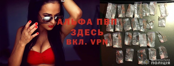 молекула духа Володарск