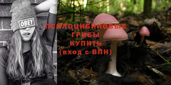 mdpv Волосово